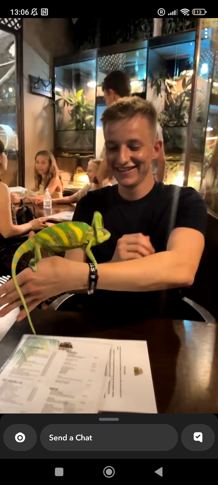 Chameleon on arm at a restaurant in Budapest